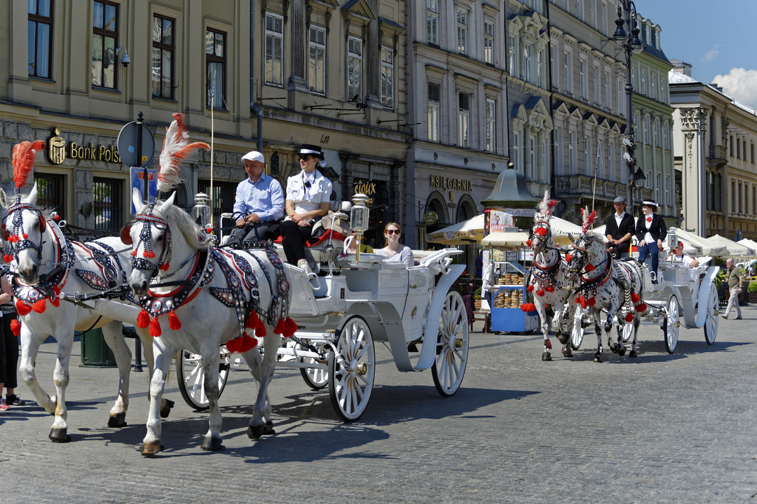 20160512 113646•••Krakow•Lesser Poland•Poland